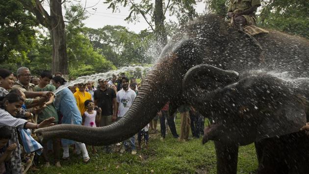 A forest official (L), sprays water as children try to touch a female elephant and a calf during an event to mark World Elephant Day at the state zoological park in Gauwhati, Assam. (Anupam Nath / AP) 
