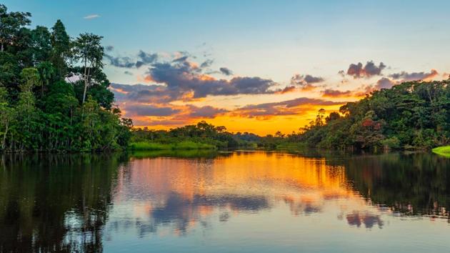 The Amazon, Brazil: The Amazon covers 40% of South America and is the largest rainforest on Earth. It spans eight countries and is home to 40,000 plant species, 1,300 bird species, indigenous tribles, wildlife and winding rivers. (Shutterstock) The Amazon, Brazil: The Amazon covers 40% of South America and is the largest rainforest on Earth. It spans eight countries and is home to 40,000 plant species, 1,300 bird species, indigenous tribles, wildlife and winding rivers. (Shutterstock)