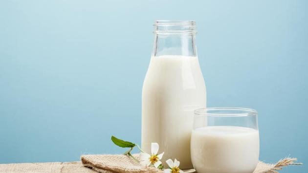 For a very long time, milk has been used to gain weight and build muscle. Milk provides us with a good combination of proteins, carbohydrates and fats. It provides the body with casein and whey proteins, which help in weight gain.  (shutterstock) 