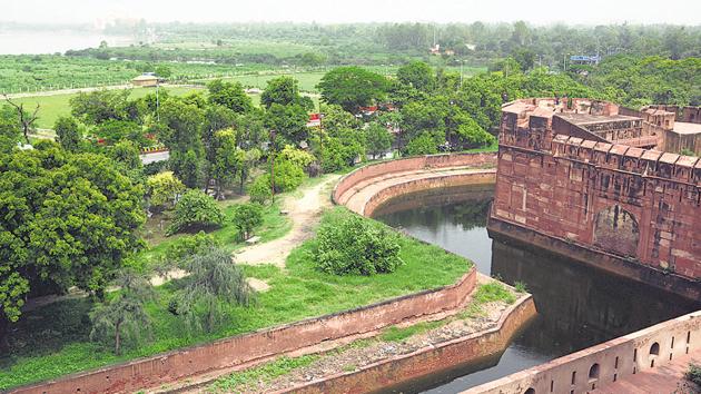 An overview of green cover on the Yamuna bank near the Agra Fort.(Raju Tomar/HT Photo)