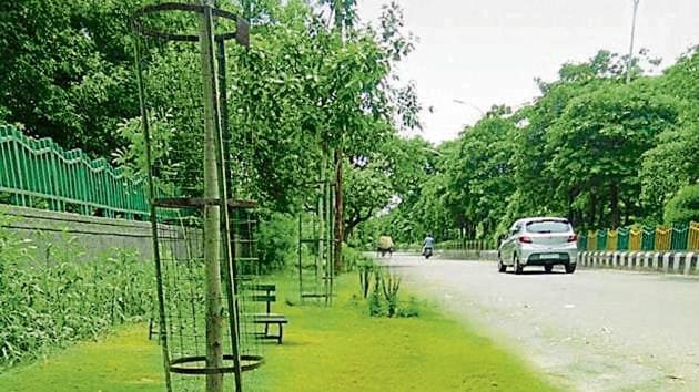 The authority’s target is to plant saplings on all spaces available along the roads. (HT Photo) The authority’s target is to plant saplings on all spaces available along the roads. (HT Photo)