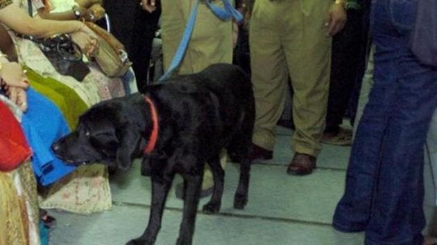 A police sniffer dog (C) inspects commuters as they travel on an underground train in Kolkata, 12 July 2005.(AFP File Phoot)