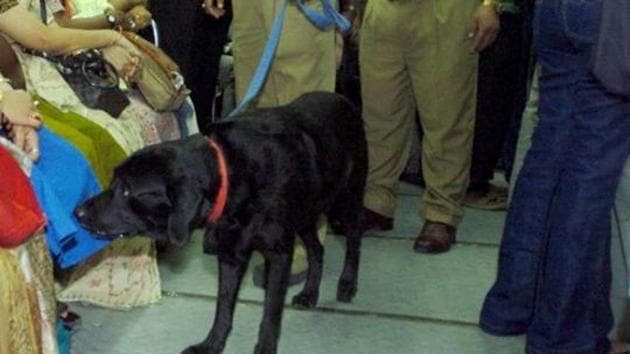 A police sniffer dog (C) inspects commuters as they travel on an underground train in Kolkata, 12 July 2005.(AFP File Phoot) A police sniffer dog (C) inspects commuters as they travel on an underground train in Kolkata, 12 July 2005.(AFP File Phoot)
