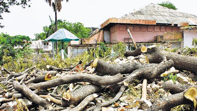 MCG felled trees at Bal Bhawan in Sector 4, Gurugram , to make way for a new auditorium. (Yogendra Kumar/HT PHOTO) MCG felled trees at Bal Bhawan in Sector 4, Gurugram , to make way for a new auditorium. (Yogendra Kumar/HT PHOTO)