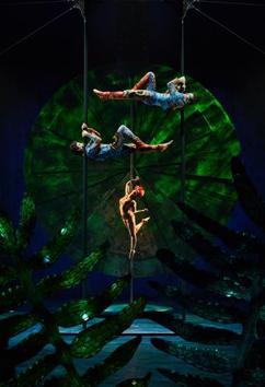 Audiences can expect cast and crew from across 50 nationalities, including 27 dancers, 22 acrobats, two live musicians and the two mallakhamb artistes from Mumbai. Audiences can expect cast and crew from across 50 nationalities, including 27 dancers, 22 acrobats, two live musicians and the two mallakhamb artistes from Mumbai.