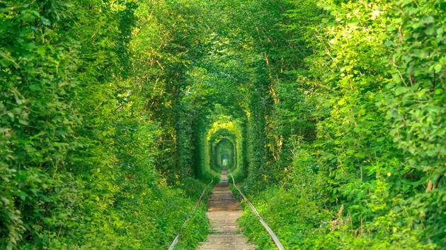 Tunnel of Love, Ukraine: Originally a section of industrial railway located near Klevan in Ukraine, the tunnel is approximately 5km long and surrounded by green arches. (Shutterstock) Tunnel of Love, Ukraine: Originally a section of industrial railway located near Klevan in Ukraine, the tunnel is approximately 5km long and surrounded by green arches. (Shutterstock)