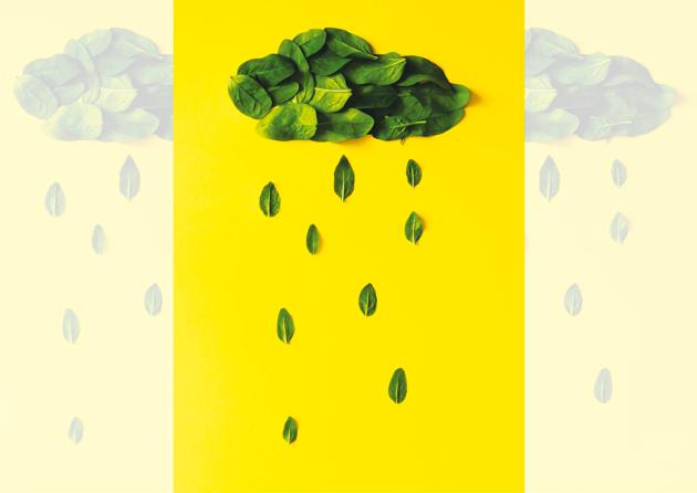 Here’s what you can eat to avoid falling sick during the monsoon (Shutterstock) Here’s what you can eat to avoid falling sick during the monsoon (Shutterstock)