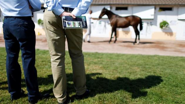 Potential buyers look at a thoroughbred foal during the Yearlings sales, one of the world renowned annual thoroughbred sales, in Deauville, France. (Charly Triballeau / AFP)