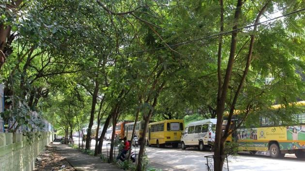 More than 3,000 heritage trees, which were to be axed for a road-widening project that was proposed in 2012 , got a new lease of life on Thursday.(HT File Photo) More than 3,000 heritage trees, which were to be axed for a road-widening project that was proposed in 2012 , got a new lease of life on Thursday.(HT File Photo)