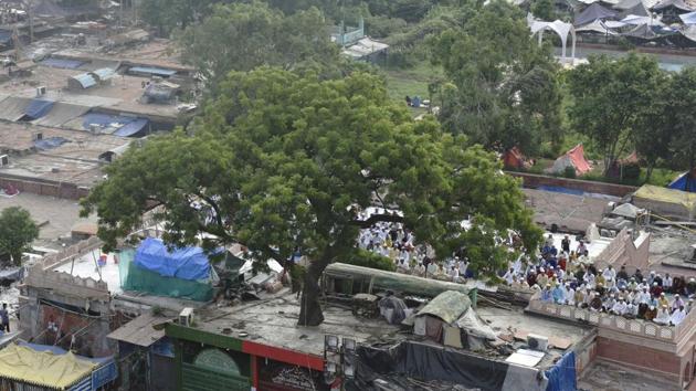 This large Neem tree outside the Jama Masjid, towers over the ancient mosque. Here, prayers were offered to mark Eid-al-Adha on Tuesday. (Vipin Kumar / HT Photo) This large Neem tree outside the Jama Masjid, towers over the ancient mosque. Here, prayers were offered to mark Eid-al-Adha on Tuesday. (Vipin Kumar / HT Photo)