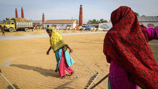 Fatema Begum has lived with loneliness for ten years. A decision to not evacuate despite severe warnings saw her bury her two daughters, her husband and her son in the aftermath of Cyclone Sidr in 2007.She survived holding on to the only tree left standing in her village. Hunger brought her to Voirob, where she has been paying off a 20,000 taka loan through indentured labour drying out rice ever since. (GMB Akash)
