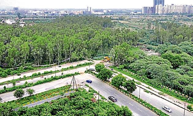 Noida authority will plant over 180 species of trees, 90 species of shrubs, grasses, and 20 species of bamboos, palms.(Sunil Ghosh/HT)