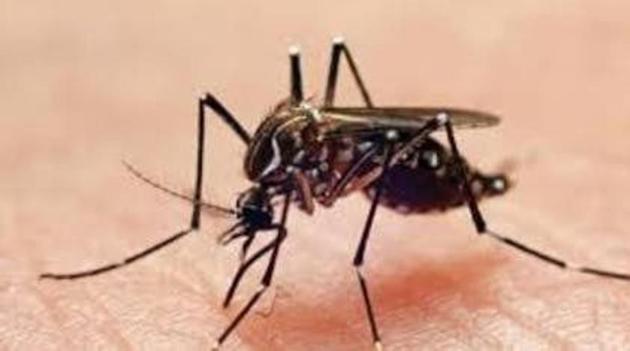 Sixteen cases of dengue have been confirmed in Bihar’s capital, Patna, so far.(Representative Image)