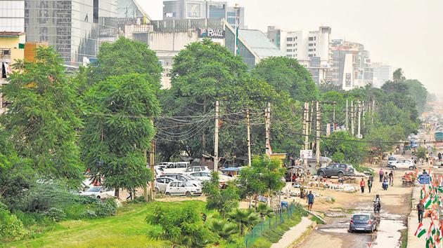 Nearly 10,000 fully grown up tree are to be felled for flyover and widening of Sohna Road, in Gurugram, Haryana.(Yogesh Kumar/HT File Photo)