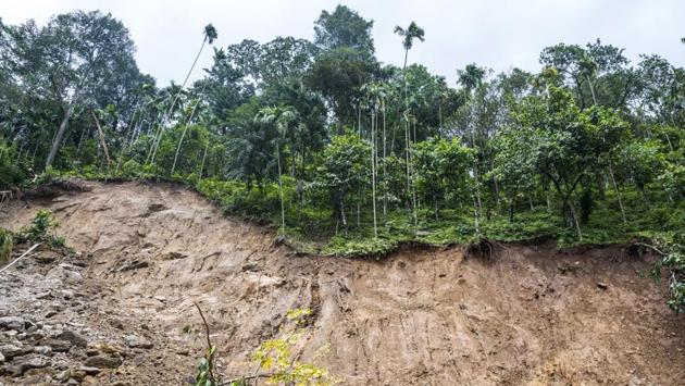 Photos: Losses brew for flood-hit Kerala’s coffee, cocoa and tea ...