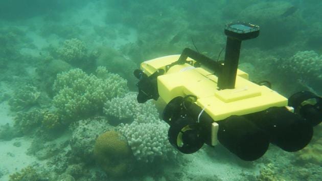 This undated handout photo from the Great Barrier Reef Foundation shows the new RangerBot in action on the Great Barrier Reef in northern Queensland.(AFP Photo)