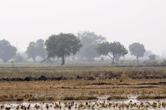 Land for the proposed international airport project in Jewar, Greater Noida. (Sunil Ghosh / HT Photo)