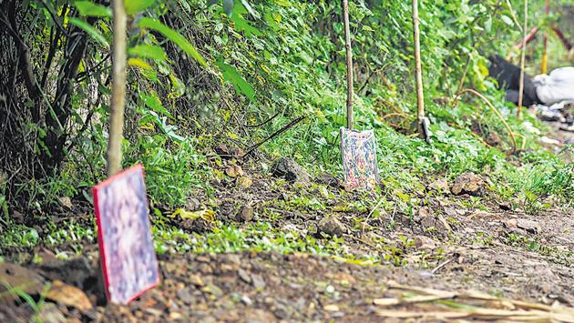 These newly planted trees planted in Shivne have pictures of various deities kept at the foot of each, to discourage truants from uprooting them. The trees have been planted as part of the state’s afforestation drive that saw 15 crore trees planted in July this year. (SANKEt WANKHADE/HT PHOTO) These newly planted trees planted in Shivne have pictures of various deities kept at the foot of each, to discourage truants from uprooting them. The trees have been planted as part of the state’s afforestation drive that saw 15 crore trees planted in July this year. (SANKEt WANKHADE/HT PHOTO)