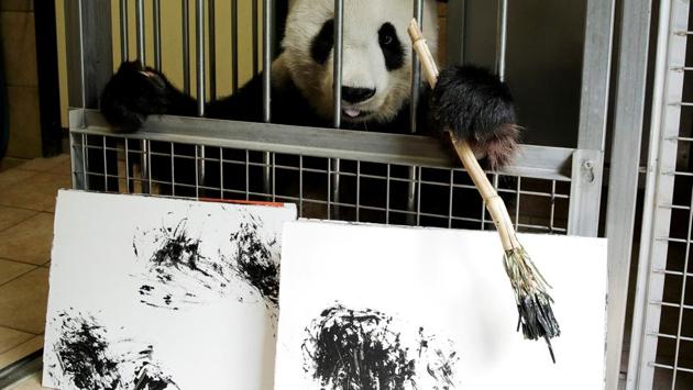 Giant Panda Yang Yang holds a brush behind pictures it painted at Schoenbrunn Zoo in Vienna, Austria. (Heinz-Peter Bader / REUTERS)