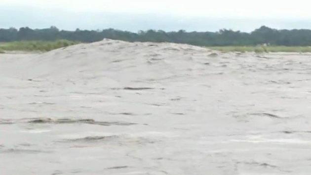 A swollen Siang. (Twitter/ANI Photo) A swollen Siang. (Twitter/ANI Photo)