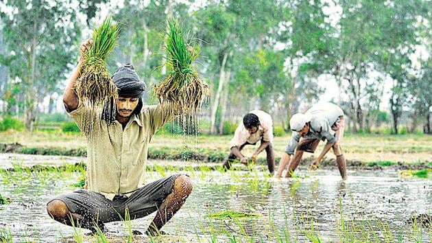 The biggest reason for this is the employment-income mismatch in agriculture.(HT File Photo)