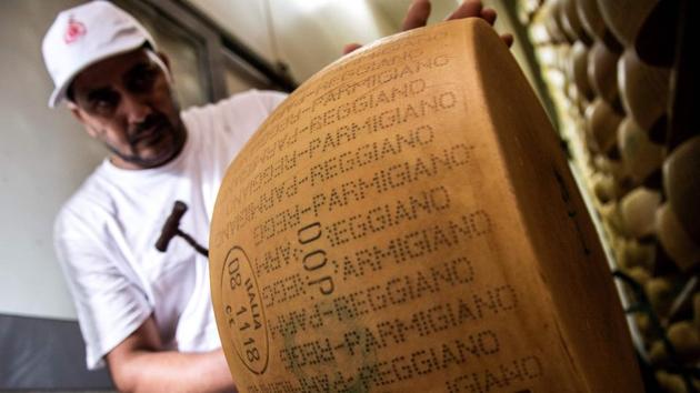 Cheesemaker Taljit Singh, uses a hammer to tap the cheese and listen for tones indicating whether it has aged at a Parmigiano Reggiano factory, near Reggio Emilia. Taking its name from Parma and Reggio Emilia, Parmigiano-Reggiano is North Italy’s most renowned export, and among the most popular cheeses in the world. It’s survival into the 21st century however rests largely on the shoulders of Sikh migrants from Punjab. (Marco Bertorello / AFP)