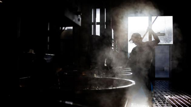 Over the decades Indian migrant labour has become indispensible in keeping traditional methods of making what is often termed ‘The king of cheese’, alive. Their roles have largely involved work as highly prized support staff in milking, skimming, storing and packaging and not necessarily in making the actual cheese. (Marco Bertorello / AFP)