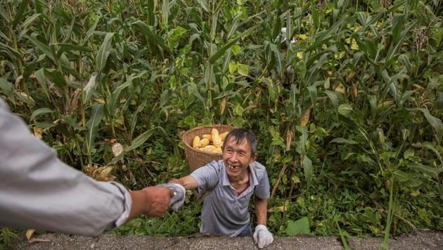 A farmer is offered a cigarette while working in a field. Yang Yong, chairman of the Hengduan Mountain Research Society, a Sichuan-based environmental group suspects small plants are being shut down to free up grid access for bigger dams. Small hydropower plants originally had grid agreements, and if they were legal, they could connect. “If they can’t access the grid because there are many big plants, that isn’t right.” (Damir Sagolj / REUTERS)