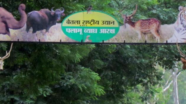 File photo of Palamu Tiger Re, serve, Jharkhand. (HT File Photo) File photo of Palamu Tiger Re, serve, Jharkhand. (HT File Photo)