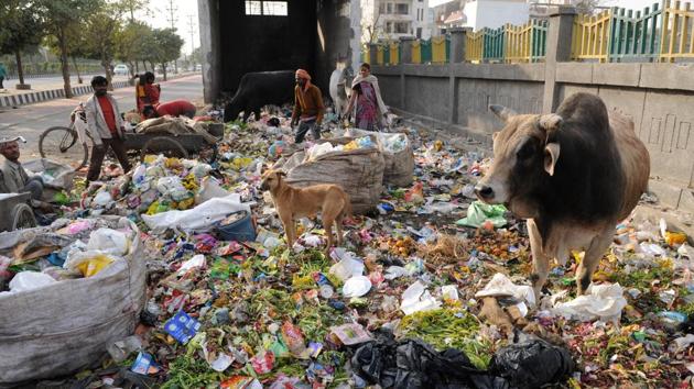 A garbage collection point in Noida. (Burhaan Kinu/Pic for representational purposes only) A garbage collection point in Noida. (Burhaan Kinu/Pic for representational purposes only)