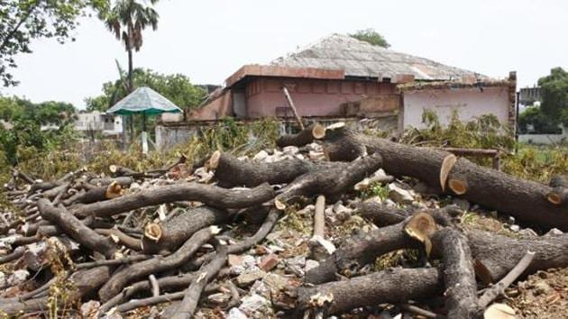 Earlier, the court had stayed construction work and felling of trees in the national capital after a bunch of PILs was filed challenging the terms of reference and the environmental clearances granted to some housing projects.(Yogendra Kumar/For representational purposes only)