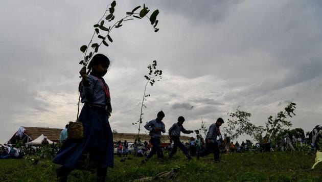 School children hold saplings as they take part in a tree planting campaign in New Delhi on September 8. (AFP Photo) School children hold saplings as they take part in a tree planting campaign in New Delhi on September 8. (AFP Photo)