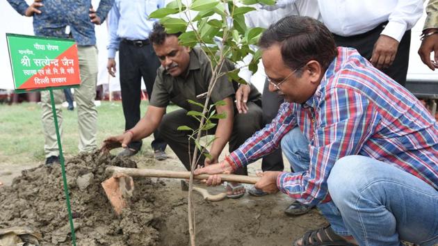 Delhi cabinet minister Satyendra Kumar Jain plants a sapling in the Yamuna flood plains as part of Delhi chief minister Arvind Kejriwal’s mega tree plantation drive on Saturday. (Sonu Mehta/HT PHOTO) Delhi cabinet minister Satyendra Kumar Jain plants a sapling in the Yamuna flood plains as part of Delhi chief minister Arvind Kejriwal’s mega tree plantation drive on Saturday. (Sonu Mehta/HT PHOTO)