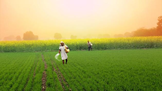 If farmers, the world over, including in emerging economies such as India, are able to benefit from such approaches towards price and yield risk management, they will be able to build a great deal of resilience in their approaches towards agriculture.(Getty Images)