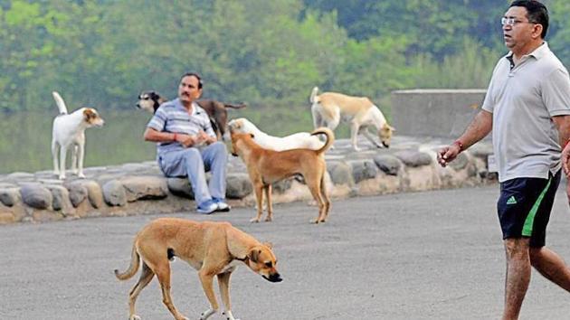 HT File HT File