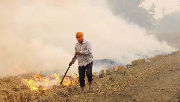 A farmer setting his field on fire after harvesting the paddy crop at Kauli village in Patiala district.(HT File)