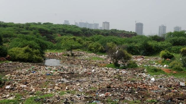 A large part of the Aravalli area being cleared for development is bhood, or sandy foothills of the range that act as water recharge zones. (HT/File photo) A large part of the Aravalli area being cleared for development is bhood, or sandy foothills of the range that act as water recharge zones. (HT/File photo)