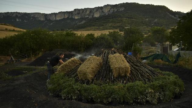 Miguel Lander, 56, places straw bales on wood piled up as part of the process to produce traditional charcoal. Even though he receives the occasional helping hand from his 22-year old son, Lander knows that the days of making charcoal the traditional way are counted in these remote valleys of northern Spain. “One has to earn a living,” he said. (Alvaro Barrientos / AP) Miguel Lander, 56, places straw bales on wood piled up as part of the process to produce traditional charcoal. Even though he receives the occasional helping hand from his 22-year old son, Lander knows that the days of making charcoal the traditional way are counted in these remote valleys of northern Spain. “One has to earn a living,” he said. (Alvaro Barrientos / AP)