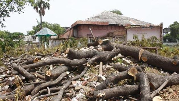 Forest officials said the RWA committed a major offence, since it did not seek permission from the forest department before pruning.(Picture for representation) Forest officials said the RWA committed a major offence, since it did not seek permission from the forest department before pruning.(Picture for representation)