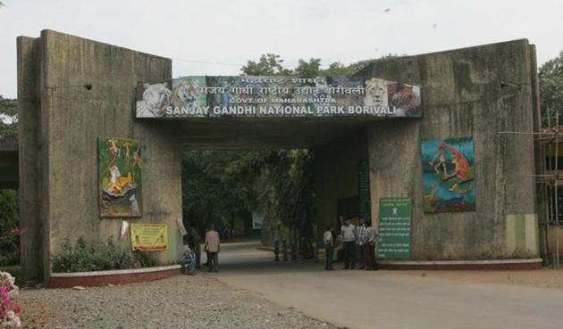 The forest department has SGNP to file a report regarding 10-month-old leopard cub, Suraj, which died of suspected poisoning at the rescue centre. (HT File Photo) The forest department has SGNP to file a report regarding 10-month-old leopard cub, Suraj, which died of suspected poisoning at the rescue centre. (HT File Photo)