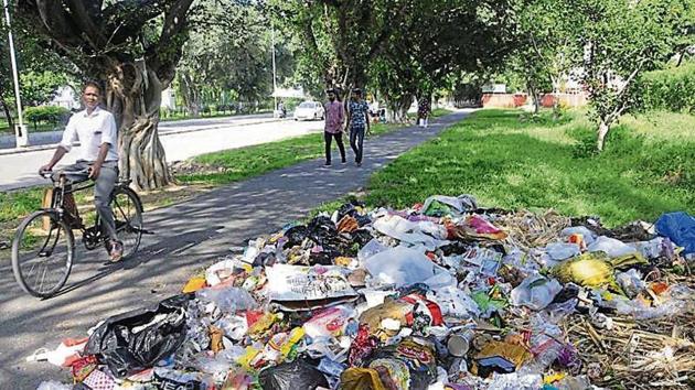 Garbage strewn on the roadside in Sector 16 in Chandigarh on Monday.(HT Photo)