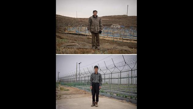 Ginseng farm manager Kim Young Guk (top) in a field outside Kaesong, and smallholding farmer Hwang In-suk (bottom) before the fence of the Demilitarized Zone (DMZ) in his back yard on Gyodong island, west of Seoul. Photographer Ed Jones who is based out of Seoul regularly visits North, giving him a unique perspective on the two. (Ed Jones / AFP) Ginseng farm manager Kim Young Guk (top) in a field outside Kaesong, and smallholding farmer Hwang In-suk (bottom) before the fence of the Demilitarized Zone (DMZ) in his back yard on Gyodong island, west of Seoul. Photographer Ed Jones who is based out of Seoul regularly visits North, giving him a unique perspective on the two. (Ed Jones / AFP)