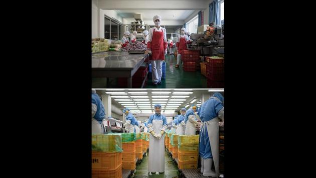 Hong Kum Ju (27, top) at the food factory where she works, near North Korea’s eastern port city of Wonsan, and Kim Si-eun (49, bottom) at the Spam factory where she works in Jincheon, south of Seoul. (Ed Jones / AFP) Hong Kum Ju (27, top) at the food factory where she works, near North Korea’s eastern port city of Wonsan, and Kim Si-eun (49, bottom) at the Spam factory where she works in Jincheon, south of Seoul. (Ed Jones / AFP)