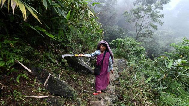 Phlimsibon Khogjee, 45, on her way to work in a field outside Kongthong village. The origin of “jingrwai lawbei” isn’t known, but locals think it is as old as the village, which has existed for as long as five centuries. (Biju Boro / AFP) Phlimsibon Khogjee, 45, on her way to work in a field outside Kongthong village. The origin of “jingrwai lawbei” isn’t known, but locals think it is as old as the village, which has existed for as long as five centuries. (Biju Boro / AFP)
