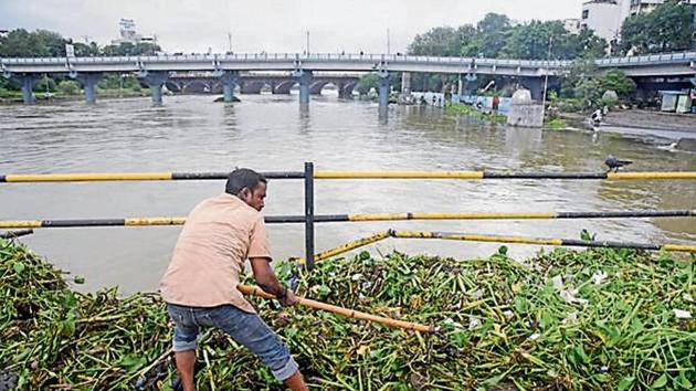 A Pune municipal corporation worker cleans the hyacinth and waste from Mutha river.(HT FILE PHOTO) A Pune municipal corporation worker cleans the hyacinth and waste from Mutha river.(HT FILE PHOTO)