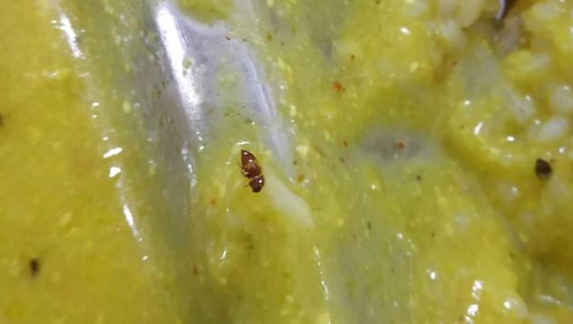Students of University of Lucknow have been complaining about finding worms in the food served at the central mess. (Sourced photo) Students of University of Lucknow have been complaining about finding worms in the food served at the central mess. (Sourced photo)