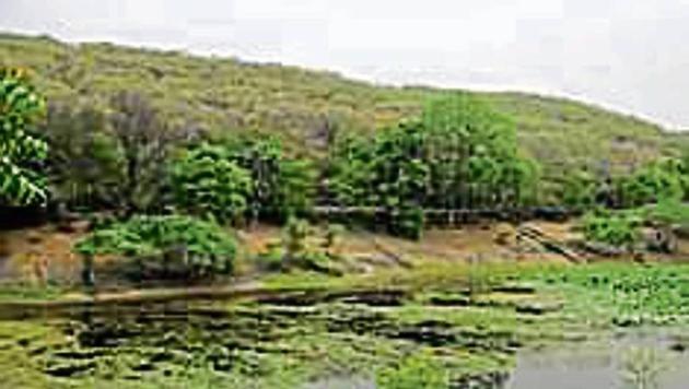 Officials from the forest, revenue and disaster management and the town and country planning (TCP) departments will discuss the delineation of the Natural Conservation Zone (NCZ) status for parts of the Aravallis. (HT PHOTO) Officials from the forest, revenue and disaster management and the town and country planning (TCP) departments will discuss the delineation of the Natural Conservation Zone (NCZ) status for parts of the Aravallis. (HT PHOTO)