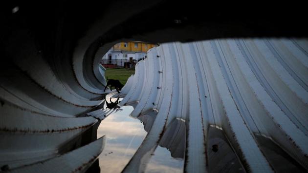 A dog passes by pieces of metal roofing in an area affected by Hurricane Maria, which devastated Puerto Rico last year, in Loiza, Puerto Rico. (Carlos Barria / REUTERS)