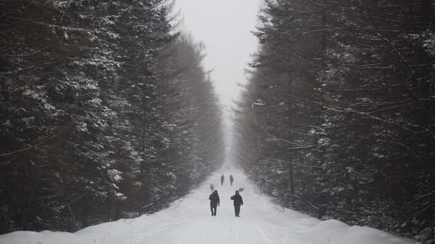 North Korean women carry wooden snow shovels as they make their way along a snowy road at the foot of Mount Paektu. It was from the dense forests around Paektu that national founder Kim Il Sung’s guerrilla resistance battled the Japanese colonial forces that governed the entire Korean Peninsula until their country’s defeat ended World War II in 1945. (David Guttenfelder / AP) North Korean women carry wooden snow shovels as they make their way along a snowy road at the foot of Mount Paektu. It was from the dense forests around Paektu that national founder Kim Il Sung’s guerrilla resistance battled the Japanese colonial forces that governed the entire Korean Peninsula until their country’s defeat ended World War II in 1945. (David Guttenfelder / AP)