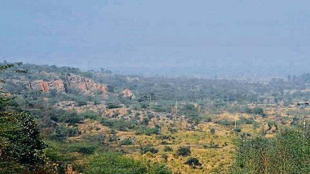 While the forest department wants the ‘NCZ status yet to be decided’ category to be maintained for about 1,200 hectares of ‘bhood’ land (sandy foothills), DTCP officials want these areas to be excluded from the NCZ.(HT FILE PHOTO)